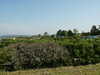 PICT0925.JPG