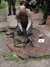 20040529113934-__hr_DZ11a.jpg
