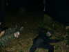 DSCF0039.JPG