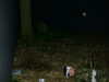 DSCF0041.JPG