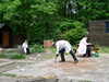 PICT0028.JPG