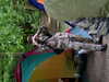 pict0015.JPG