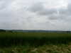 PICT0034.JPG