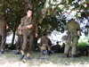 PICT0078.JPG