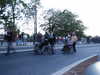 PICT0957.JPG