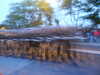 PICT0967.JPG