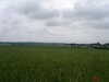 pict0035.JPG