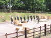 20040613091954-IMG_0590.JPG