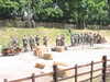 20040613095408-IMG_0598.JPG