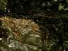 PICT1238.JPG