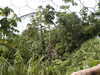 20040713120130-PICT1382.JPG