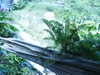 20040713120411-PICT1386.JPG