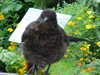 MVC-210F.JPG