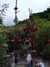 MVC-235F.JPG