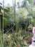PICT1338.JPG
