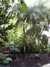 PICT1342.JPG