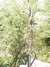 PICT1365.JPG