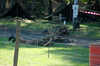 20040807152906-zrb_0185.jpg