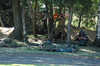 20040807153200-zrb_0192.jpg