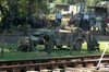 20040807153518-zrb_0214.jpg