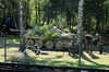 20040807153525-zrb_0216.jpg