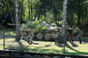 20040807153526-zrb_0217.jpg