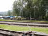 zrbT1594.JPG