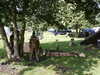 20040807101023-PICT1559.JPG