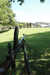 20040807141027-DSC_0119.jpg