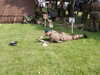 PICT1582.JPG