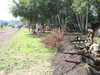 20040808054705-IMG_0636.JPG