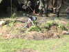 20040808054901-IMG_0641.JPG