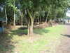 20040808055353-IMG_0651.JPG