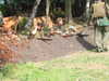 20040808055416-IMG_0652.JPG