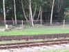 20040808091023-IMG_0683.JPG