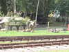 20040808092041-IMG_0699.JPG