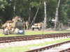 20040808092227-IMG_0705.JPG