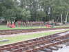 20040808092436-IMG_0707.JPG