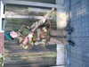 2004-09-07:PaulB
