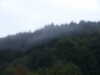 PICT1733.JPG