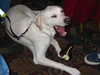 20041011092947-IMG_2428.JPG