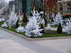 PICT1832.JPG