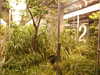 PICT1858.JPG