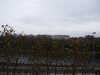 PICT2021.JPG
