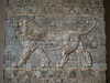 PICT2116.JPG