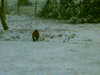 20050304100620-HPIM0063.jpg