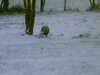 20050304100748-HPIM0064.jpg