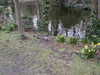 20050312131922-PICT2272.JPG