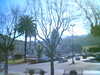 20050318085030-HPIM0102.jpg