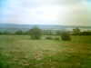 20050331145353-HPIM0150.jpg
